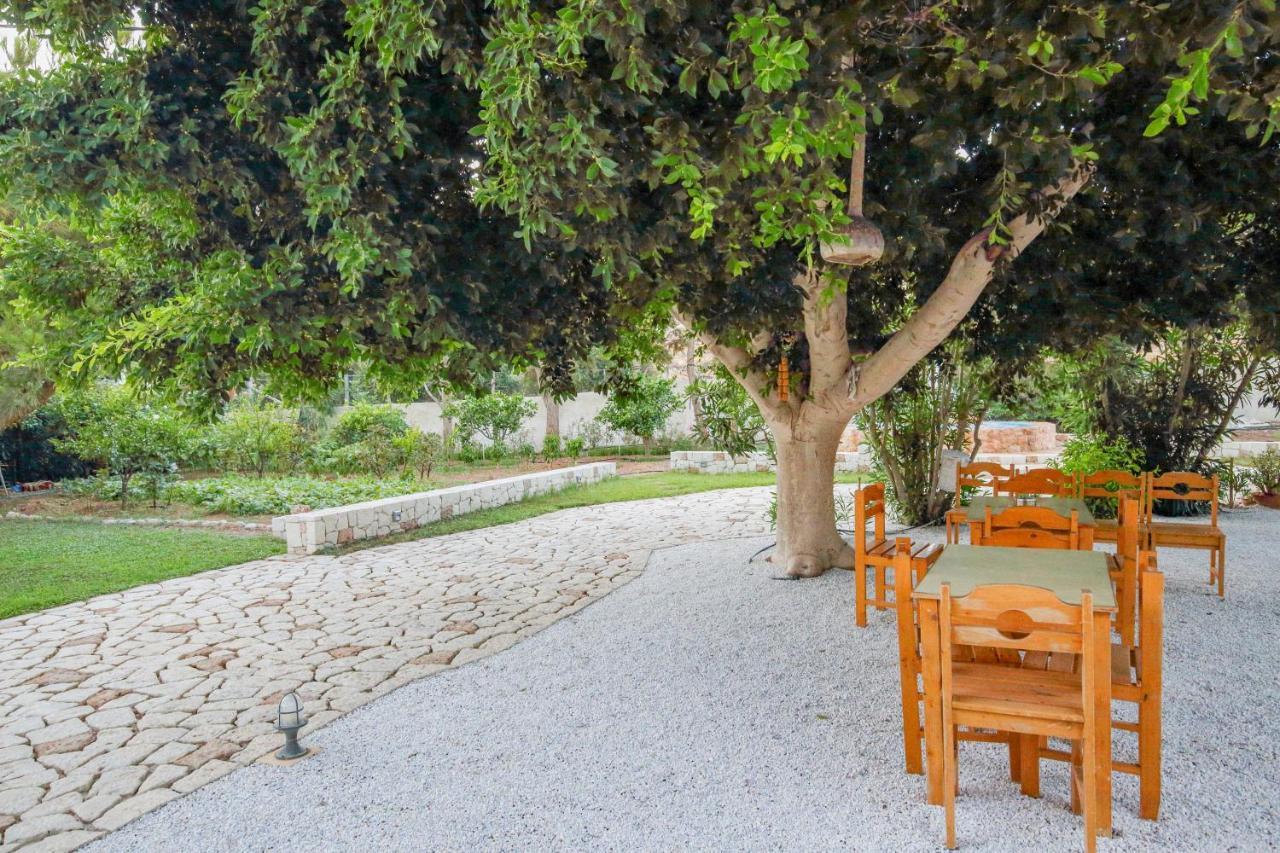 קסרוקמפוס Amatu Villa מראה חיצוני תמונה
